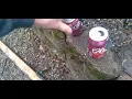 22cal piranha pellet vs H N pellet