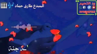 المبدع طارق حماد حالة واتس مجنونة جن القماري 