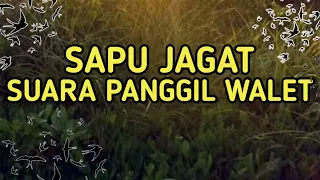 suara panggil walet sapu jagat