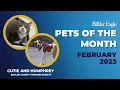 Butler Eagle Pets of the Month - February 2023
