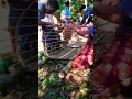 Download Lagu Kurung Batang ..Karanda Bambu  khas Lombok