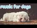 Download Lagu 15 HOURS of Deep Sleep Relaxing Dog! NEW Helped 10 Million Dogs!