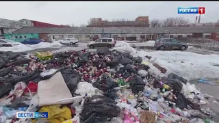 Кучи мусора и вонь: «Вести Омск» разбирались в проблеме омских дачников