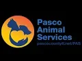 1 18 19 PCAS Animals For Adoption