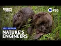 More Beavers Equals Less Drought Full Episode Resolve to Solve with Miles O Brien