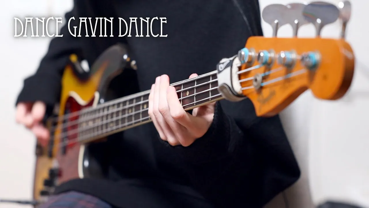Dgd Bass Cover s Musian