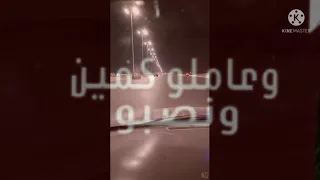حلات  عربيه مهرجان دايره بتطبل كلاب الماده     دندنها