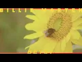 Billie Marten - Betsy (Official Audio)