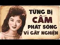 Download Lagu 18 Ca Khúc Nhạc Vàng Nhạc Xưa Hải Ngoại TỪNG BỊ CẤM PHÁT SÓNG VÌ GÂY NGHIỆN | TUYỂN CHỌN HAY NHẤT