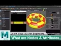 What are Nodes Attributes in Maya Learn Maya 3D Animation for Beginners Tutorials