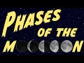 Why Do We See Different Phases of the Moon