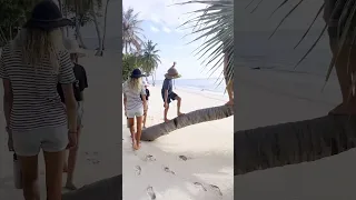 Island exploration and scoring from the resort… mmmm kale 🥬 #sailingfamily #boatlife