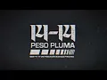 Peso Pluma - 14 14 (Bass Boosted)