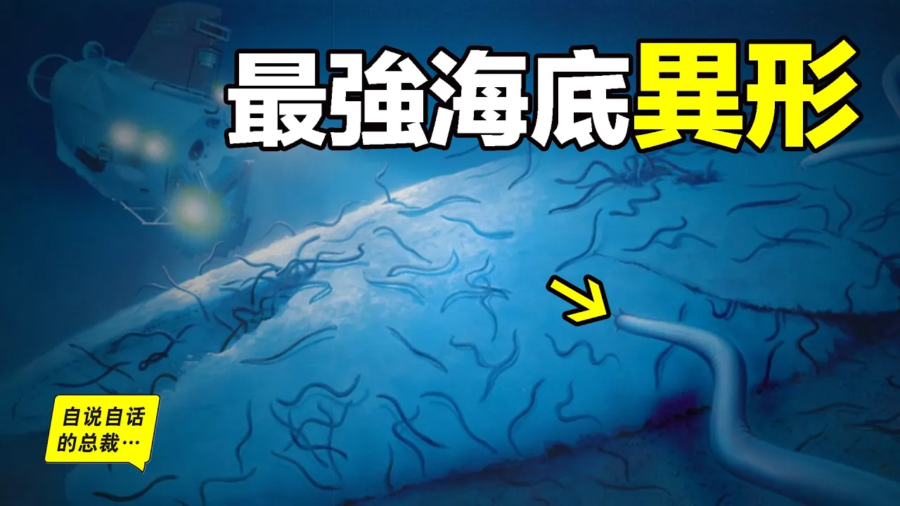 最強海底異形，竟是人類始祖，章魚、人類、皮皮蝦，一場橫貫6億年的星際大戰……|自說自話的總裁