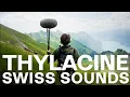 Lagu THYLACINE - Swiss Sounds