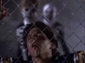 Video di Karate Kid halloween fight (1984)