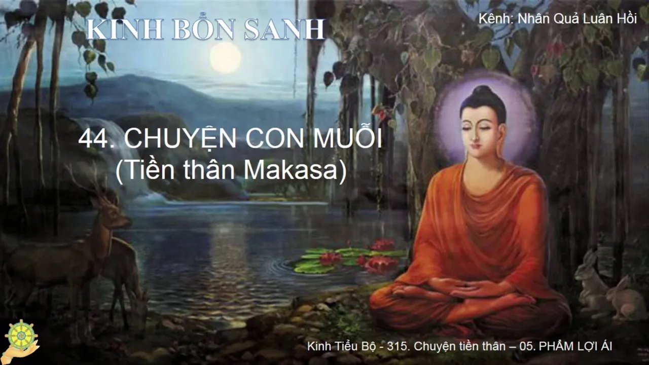 44 Truyện CON MUỖI Tiền thân Makasa Truyện Tiền Thân Đức Phật Tập 1 