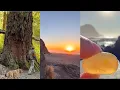 Treasures Found Gold Beach Oregon