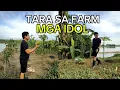 Download Lagu IPAPASYAL KO PO KAYO SA MALAWAK NA GULAYAN NI IDOL SA FARM #idolromeocatacutanvlog