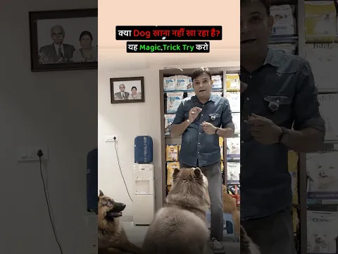 क्या Dog खाना नहीं खा रहा है❓ यह Magic Trick Try करो❗️