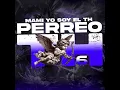 PERREO TH 6