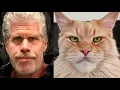 Download Lagu Ron Perlman Looks Like Me (Music Video) - DJ Buster