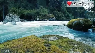 الصلاة الابراهيمية مكررة 10000 مرة مع مناظر الطبيعة الجميلة بصوت روعة هادئ وجميل بث مباشر بدر النفيس 