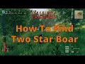 How To Find Two Star Boar
