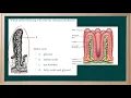 WCLN - AP 12 Unit 4