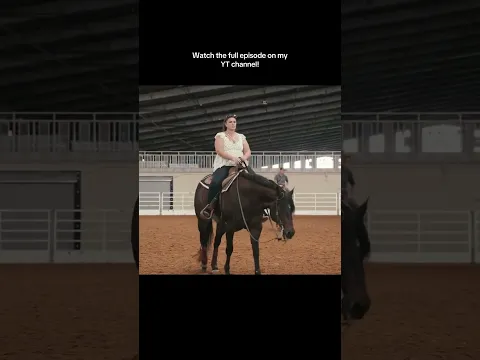 Watch the full episode on YTube! #katievanslyke #horses #foal