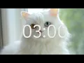 3 Minute Timer with Relaxing Music Cat Theme