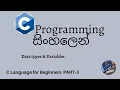 C Programming in sinhala part 3 - Data types Variables