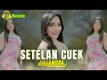 DJ Remix Setelan Cuek - Lili Amora - Official Music Video