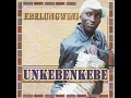 Ebelungwini