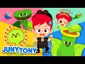 Download Lagu Why Do They Eat Bugs? | +More Bug Songs | Insect Songs for Kids | Animal Song | JunyTony
