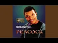 Download Lagu Nyilontyilo