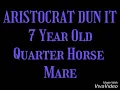 Consigned to Lolli Bros Sale March 7th Macon MO ARISTOCRAT DUN IT