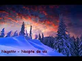 Negativ - Noapte de vis (karaoke Generic)