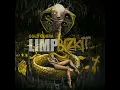 Limp Bizkit - Shark Attack [Gold Cobra 2011 HD-HQ]