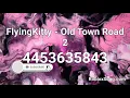 Old town road 2 flyingkitty Roblox ID LITplayz radio codes