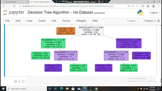 Decision Tree Algorithm - Iris Dataset