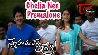 snehamante idera songs chelia nee premalone nagarjuna bhoomika
