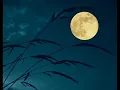 ลาวดวงเดือน - ร้อง