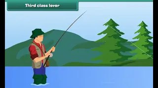 Third Class Lever