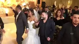                        دندنها