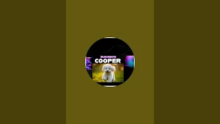 #cooper  está en vivo