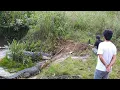 Download Lagu Wujud asli Buaya siluman buat orang-orang nyaris pingsan!!!