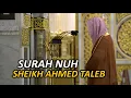 Download Lagu Imam of Masjid Nabawi | Sheikh Ahmed Taleb | Surah Nuh