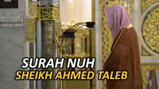 imam of masjid nabawi sheikh ahmed taleb surah nuh