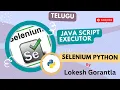 Part 21 JavaScript Executor in Selenium Python Telugu